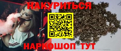 тгк Кудрово