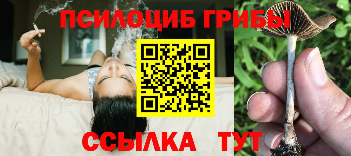 Псилоцибиновые грибы ЛСД Железноводск