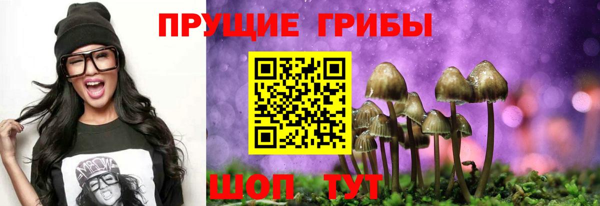 Галлюциногенные грибы Psilocybine cubensis  цены   Железноводск  Вход с VPN  Псилоцибиновые грибы Psilocybine cubensis 